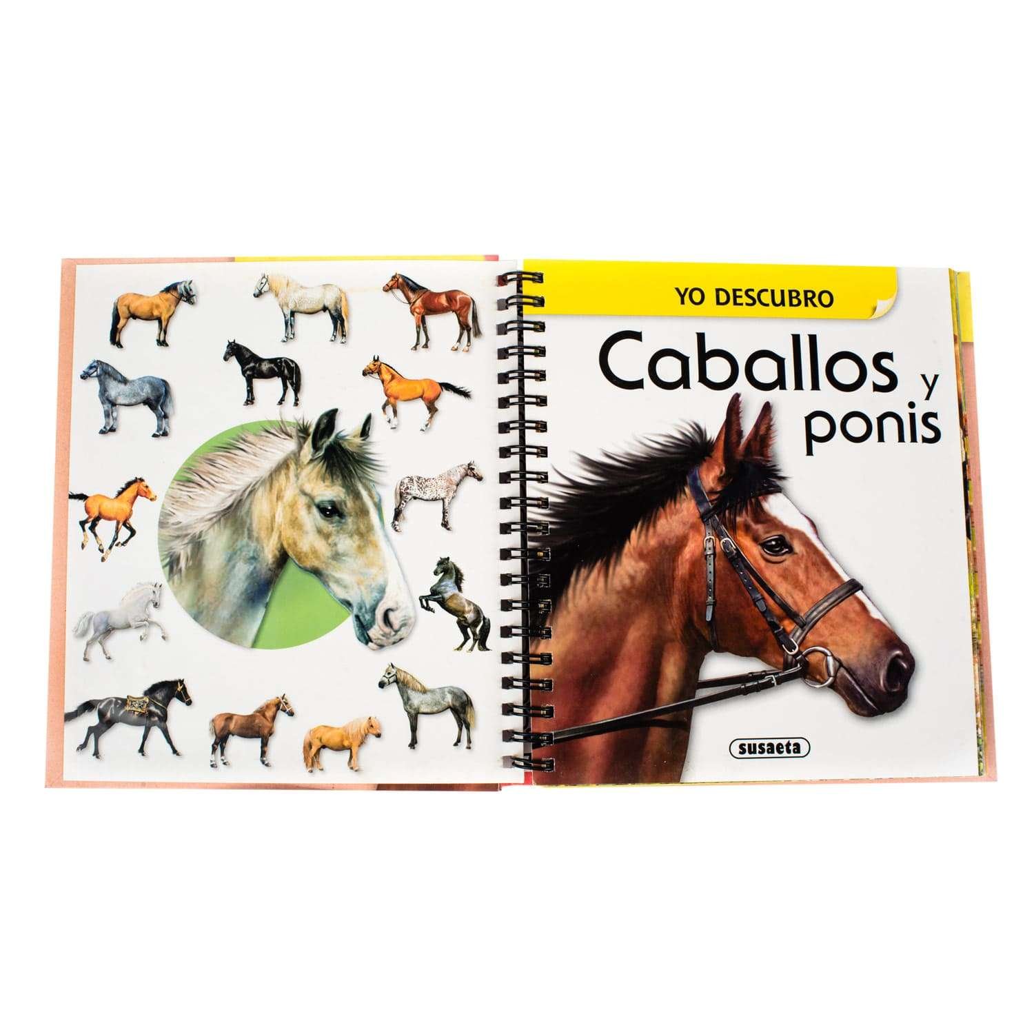Yo Descubro: Caballos y Ponis - Imagen 2