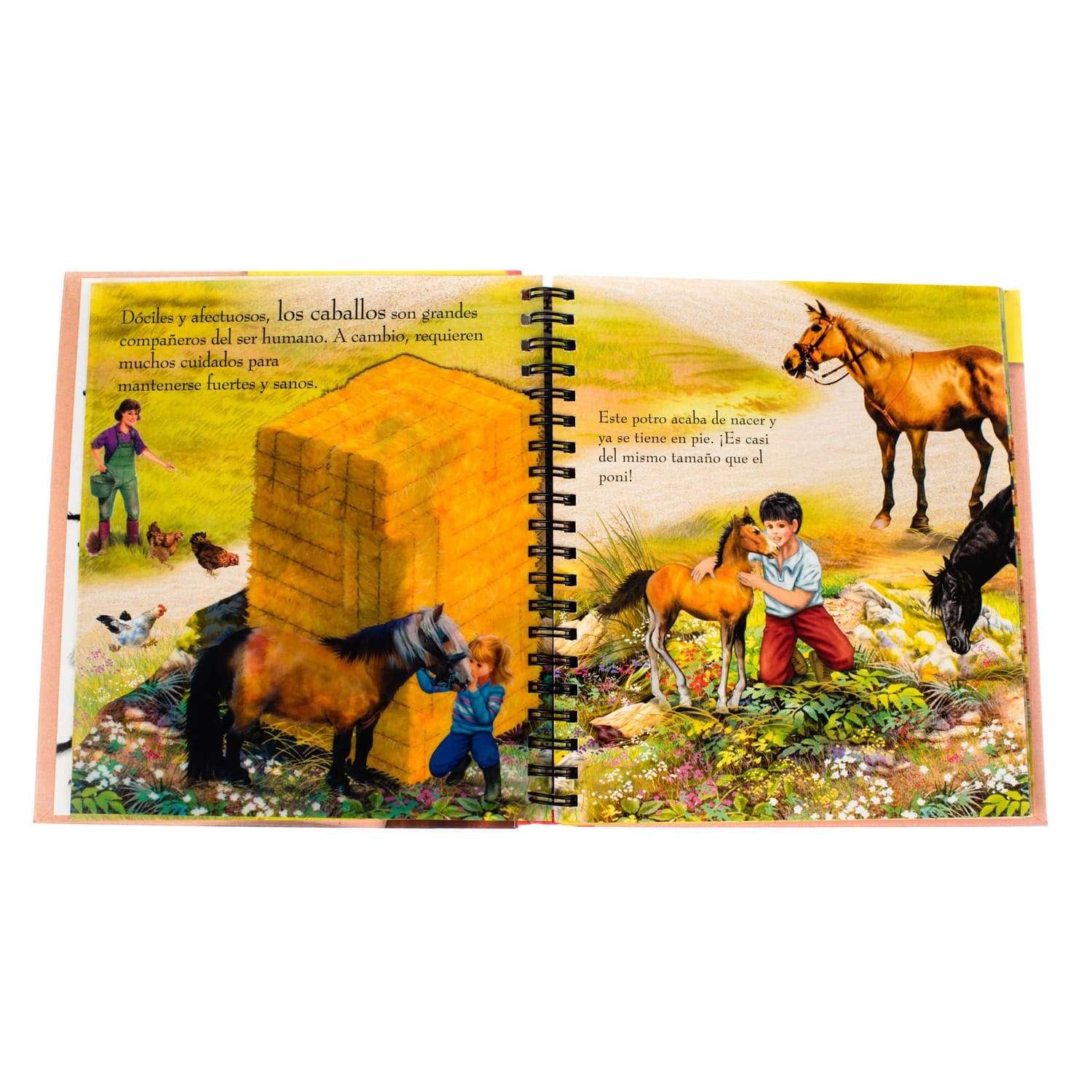 Yo Descubro: Caballos y Ponis - Imagen 3