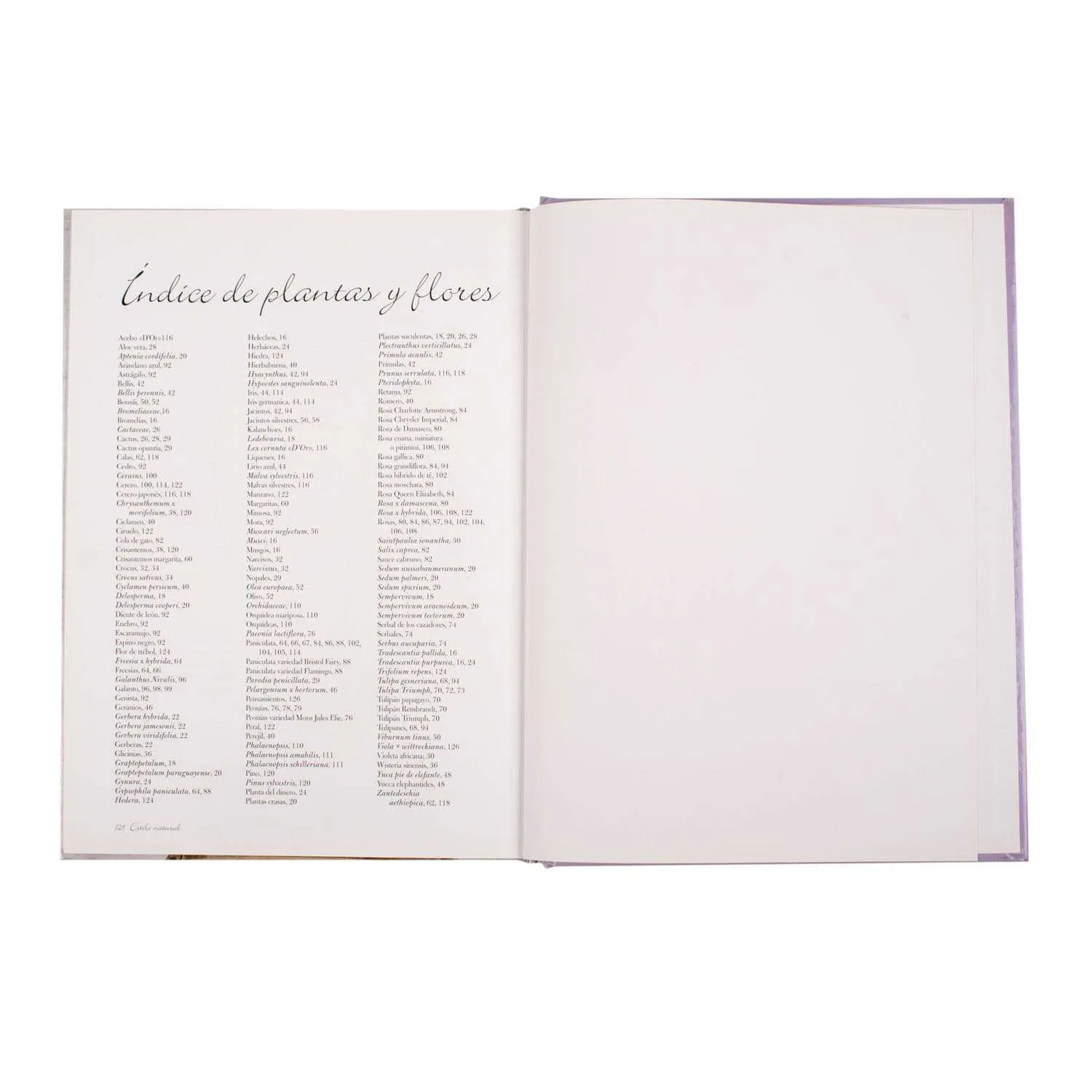 Estilo Natural Proyectos con Flores - Imagen 2