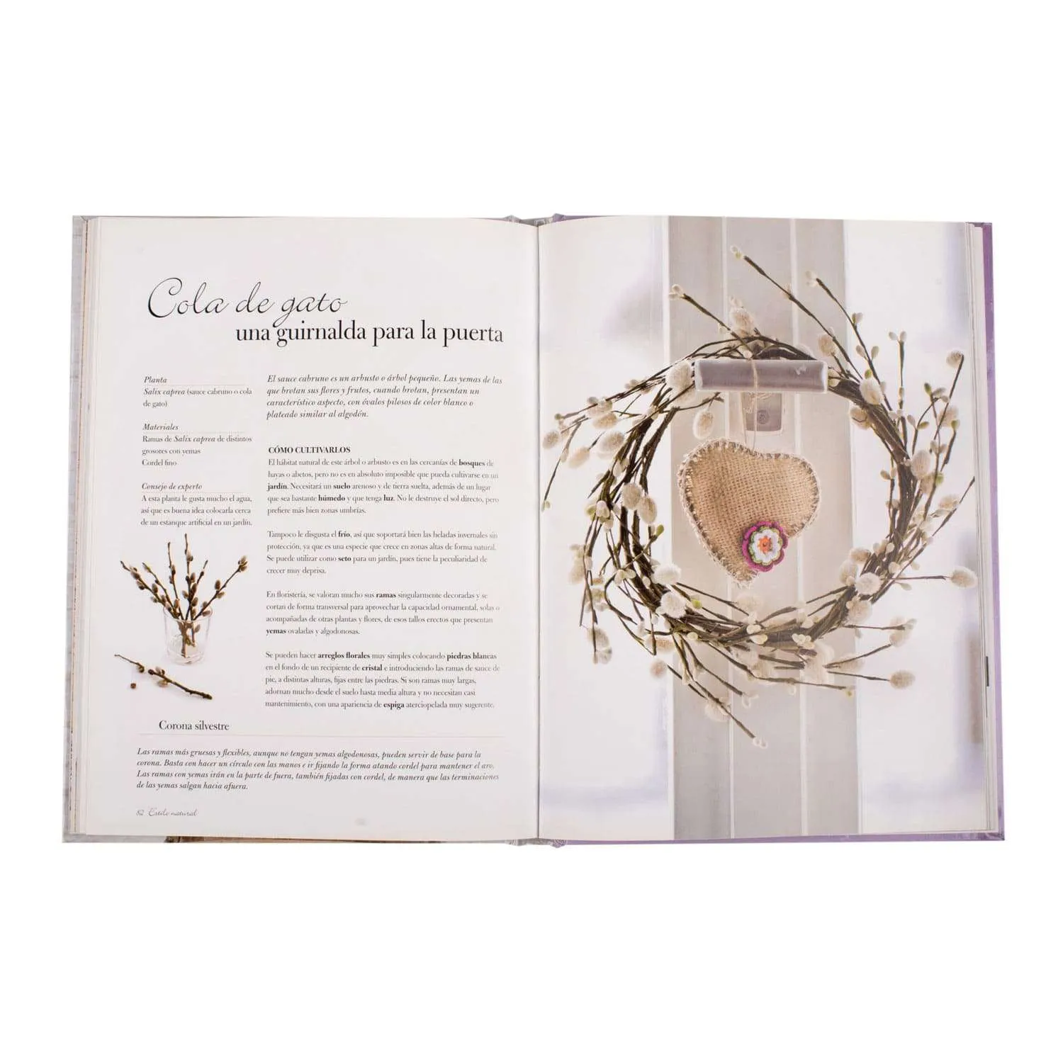 Estilo Natural Proyectos con Flores - Imagen 3