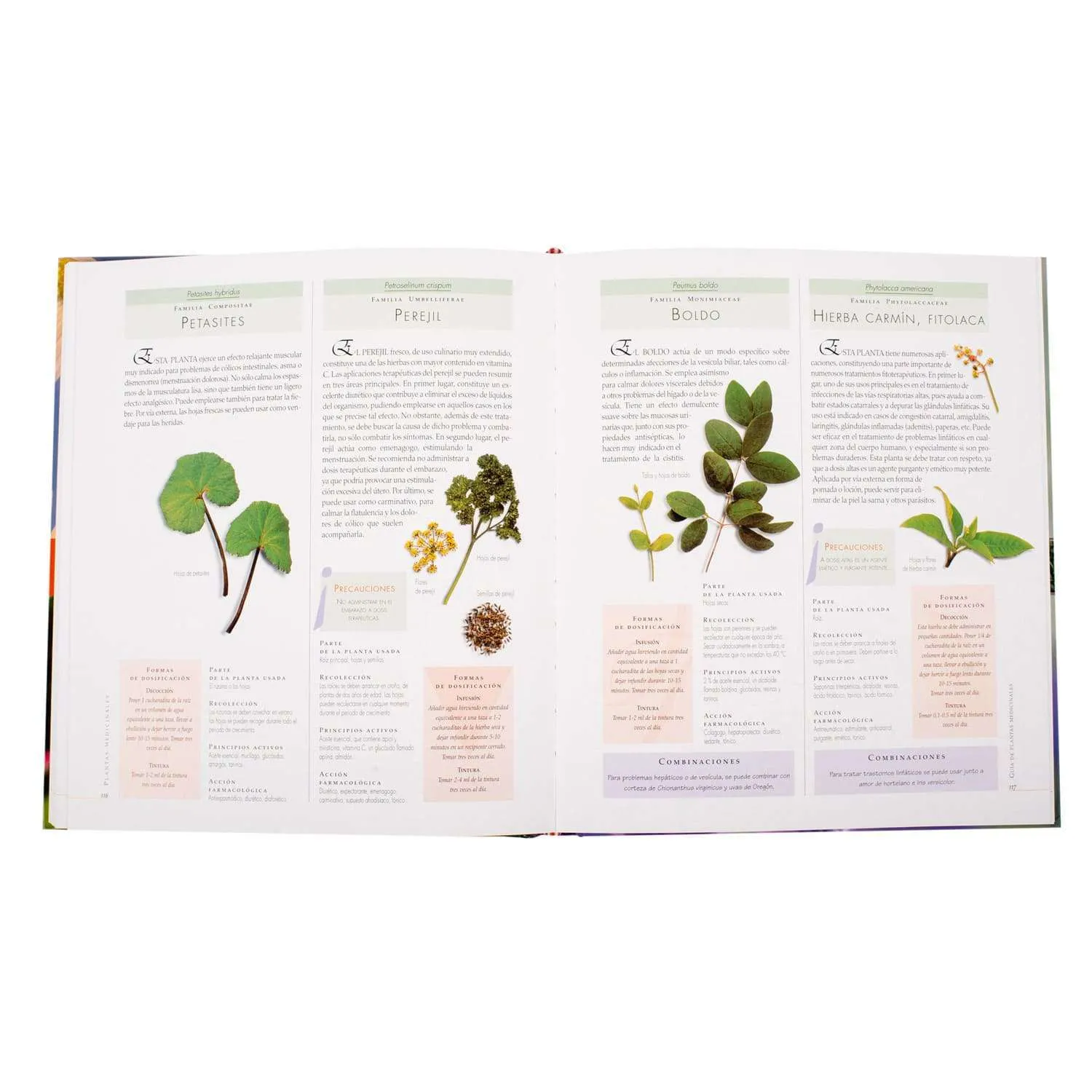 Atlas Ilustrado de las Plantas Medicinales - Imagen 3