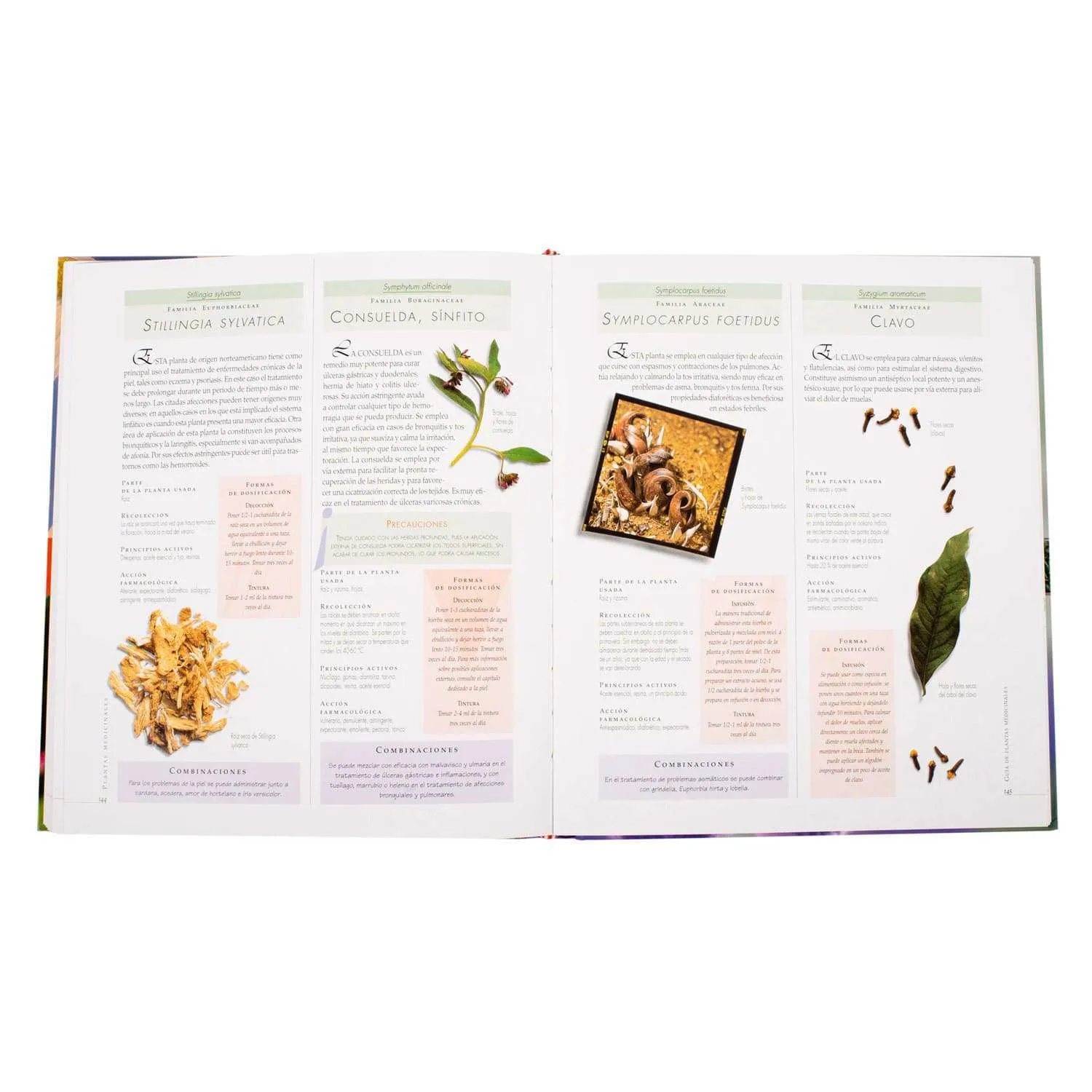 Atlas Ilustrado de las Plantas Medicinales - Imagen 4