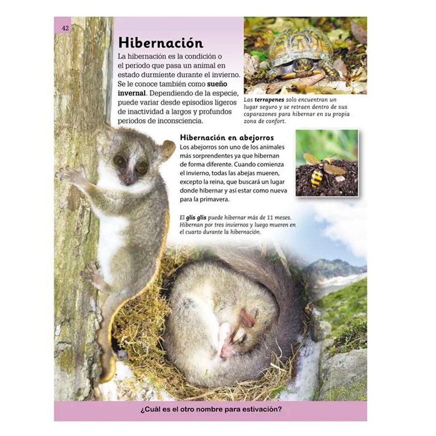 Enciclopedia Ilustrada Mundo Animal - Imagen 2