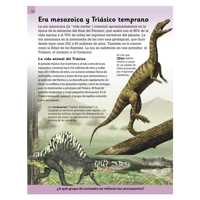 Enciclopedia Ilustrada Dinosaurios y Vida Prehistórica - Imagen 3