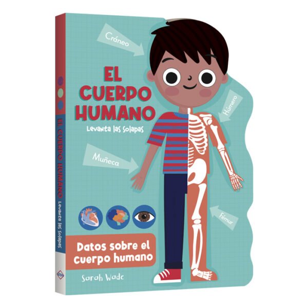 Libro el cuerpo humano levanta solapas