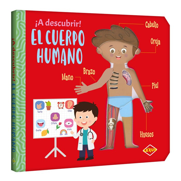 Libro ¡A descubrir! el cuerpo humano