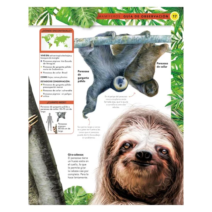 Animales Salvajes – Guía de Observación - Imagen 3