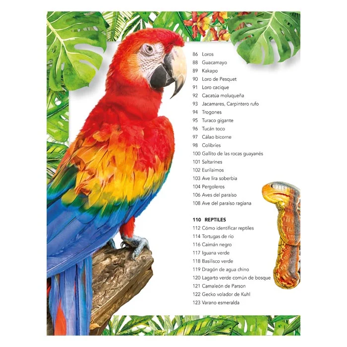 Animales Salvajes – Guía de Observación - Imagen 4