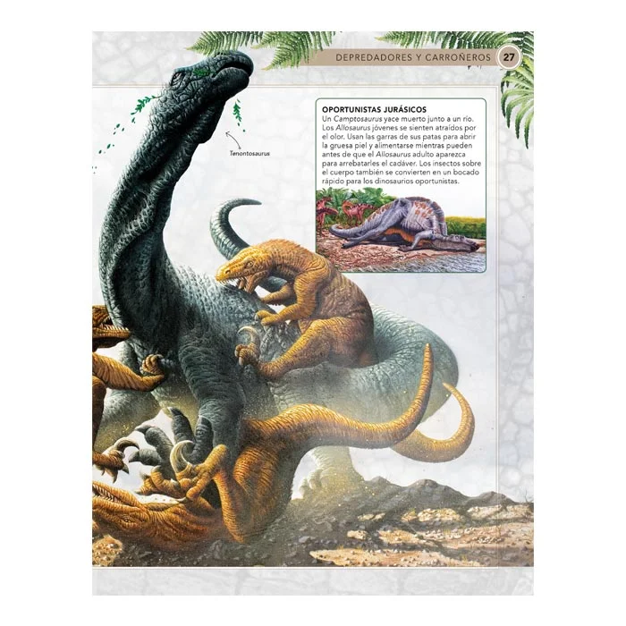 Dinosaurios – Guía de Observación - Imagen 3
