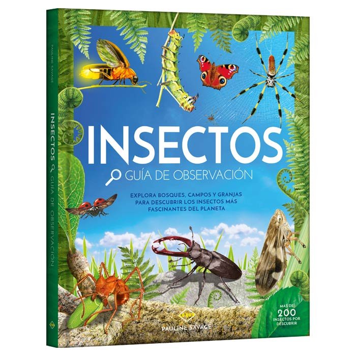 Libro Insectos